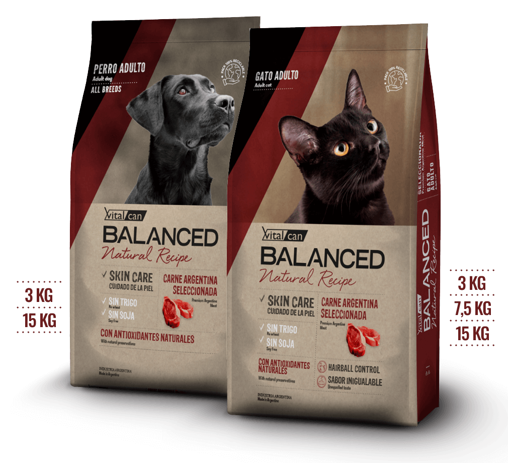 Balanced Carne