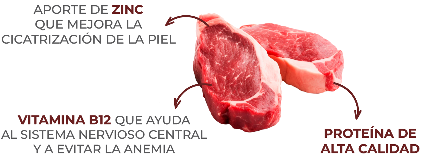 Balanced Carne detalles