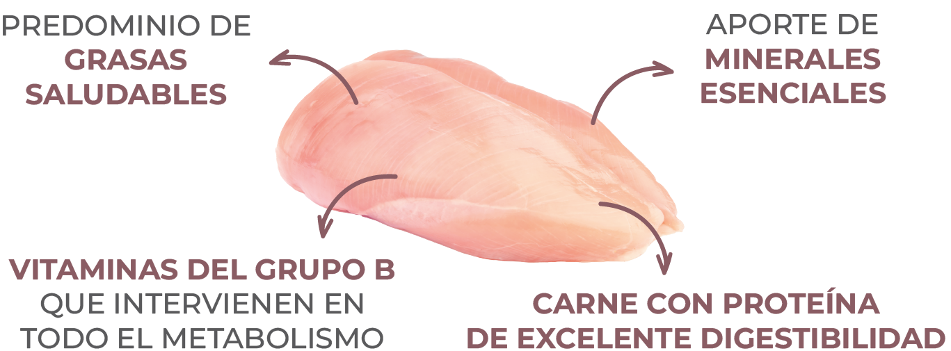 Balanced Pollo detalles