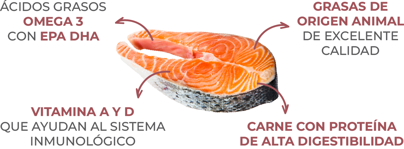 Balanced Salmón detalles