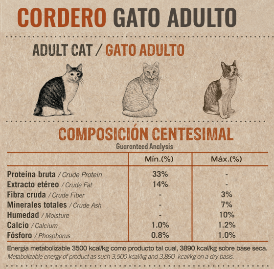 Balanced Cordero