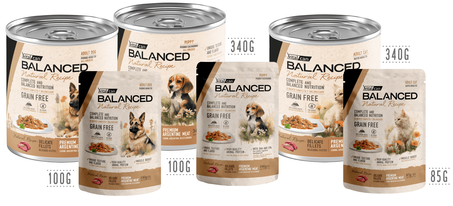 Balanced Carne