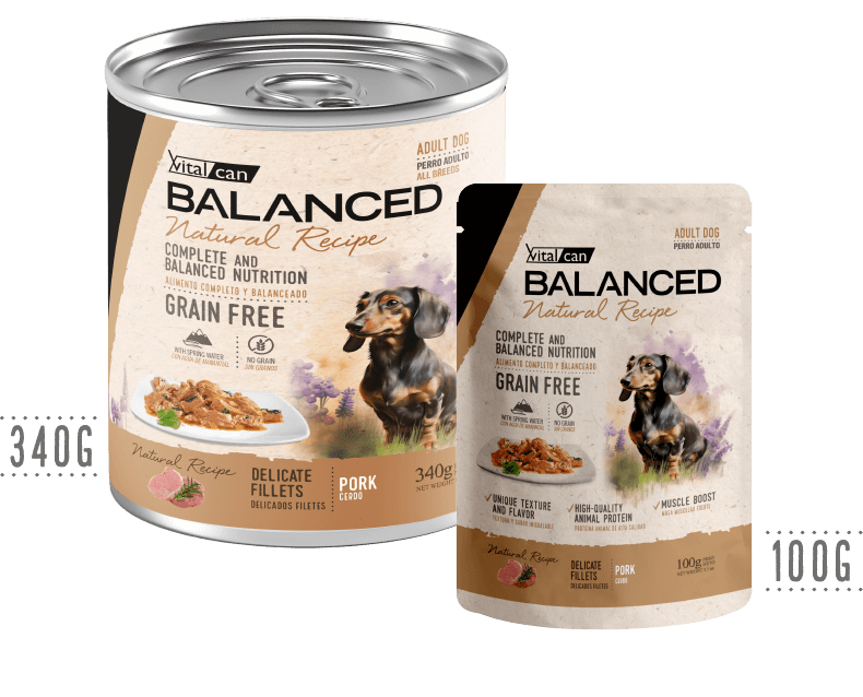 Balanced Cerdo