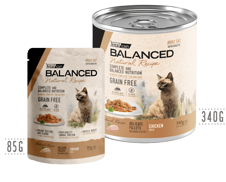 Balanced pollo