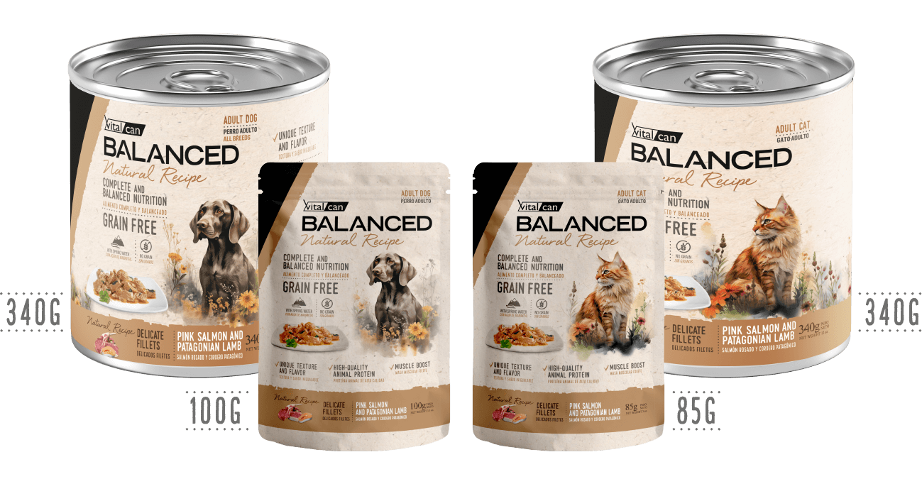Balanced salmon